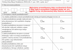 formularz-o-pomocy-de-minimis-2-scaled